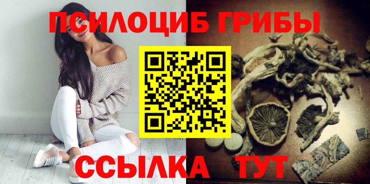 Псилоцибиновые грибы Psilocybine cubensis  купить   Галлюциногенные грибы ЛСД  Сызрань  Вход с VPN 